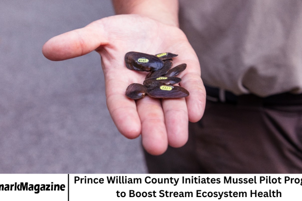 Prince William County Initiates Mussel Pilot Program to Boost Stream Ecosystem Health